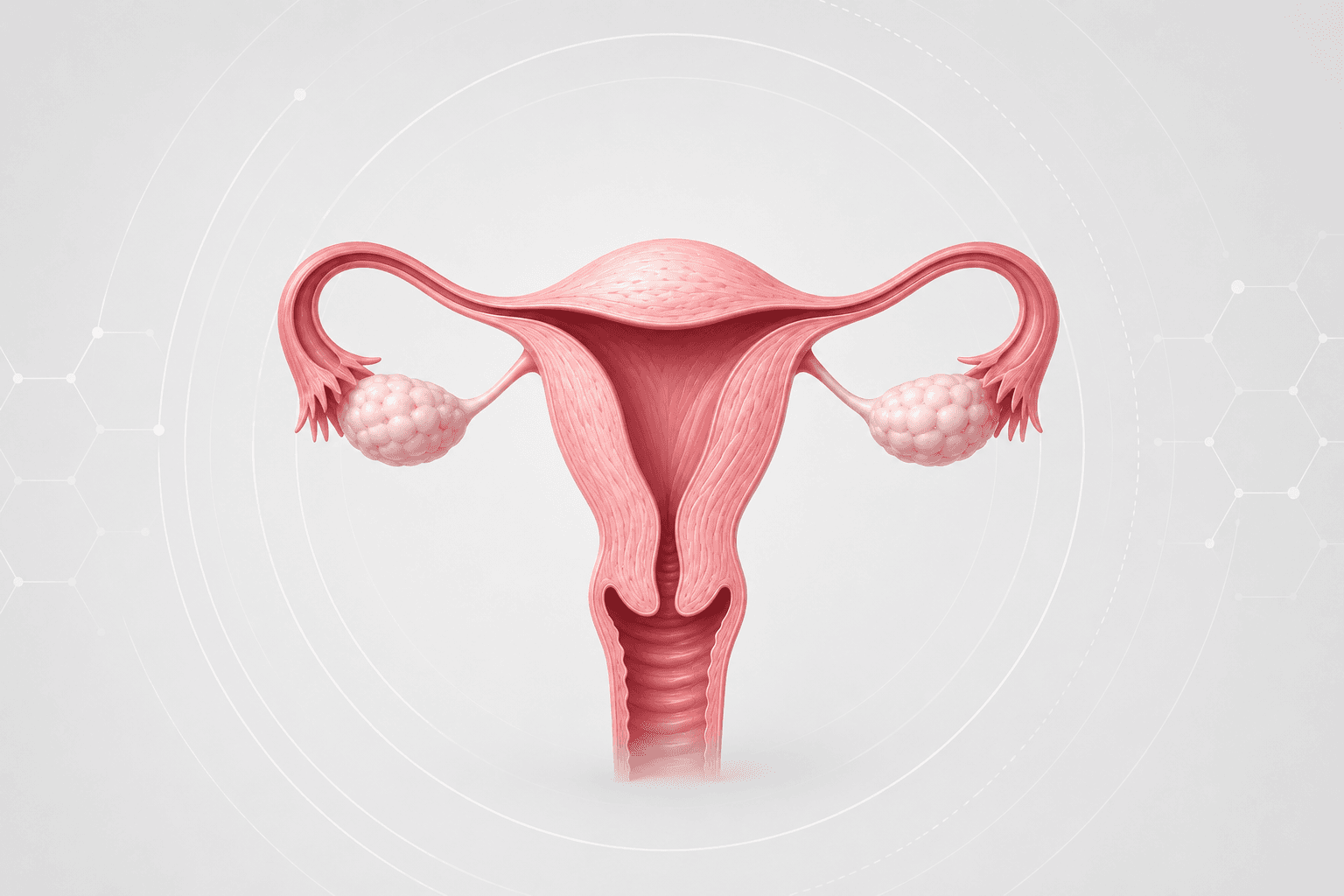 HPV and Cervical Cancer Screening - Current Evidence and Clinical Implications
